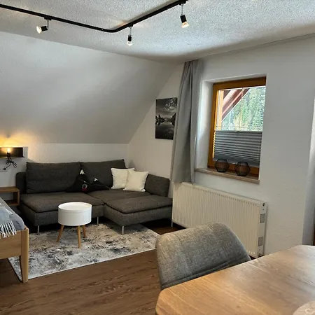 Haus Sonnleitner Rittisberg Apartament